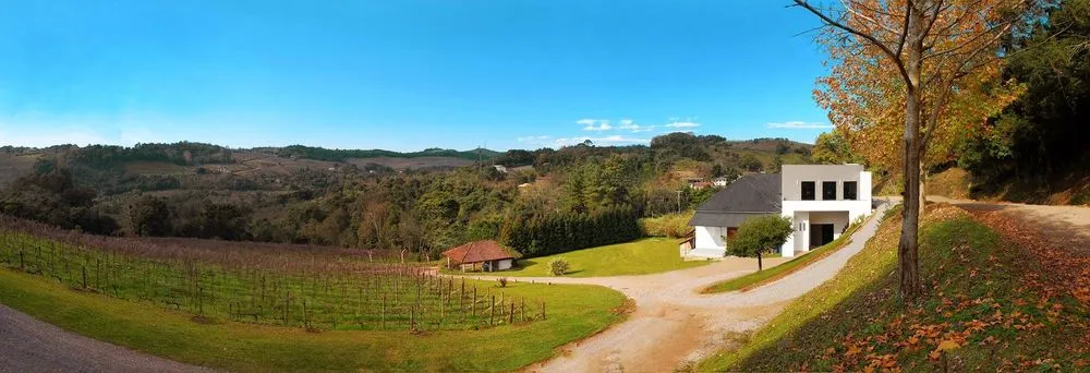 Foto: PIZZATO Vinhas e Vinhos via Google Maps.