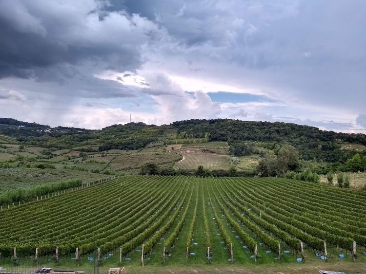 Foto: Edson Bon via Google Maps.